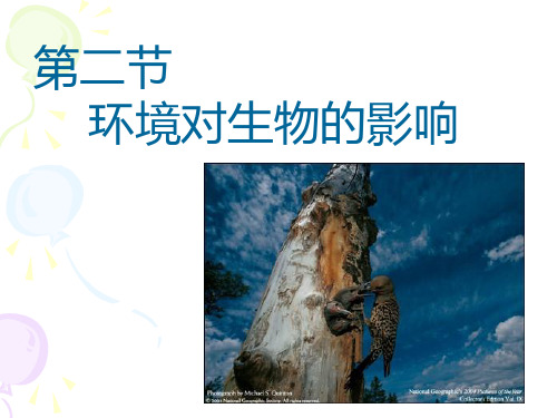 2.2_环境影响生物的生存_课件(56张)(苏科版)