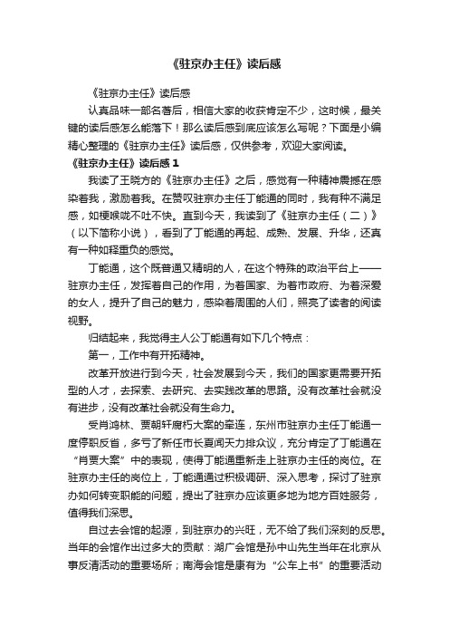 《驻京办主任》读后感