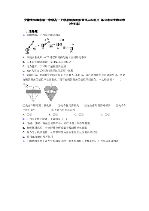 安徽省蚌埠市第一中学高一上学期细胞的能量供应和利用 单元考试生物试卷(含答案)