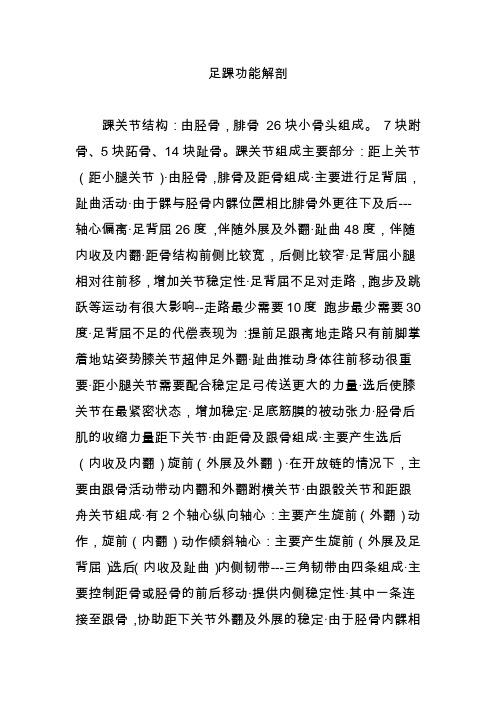 足踝功能解剖