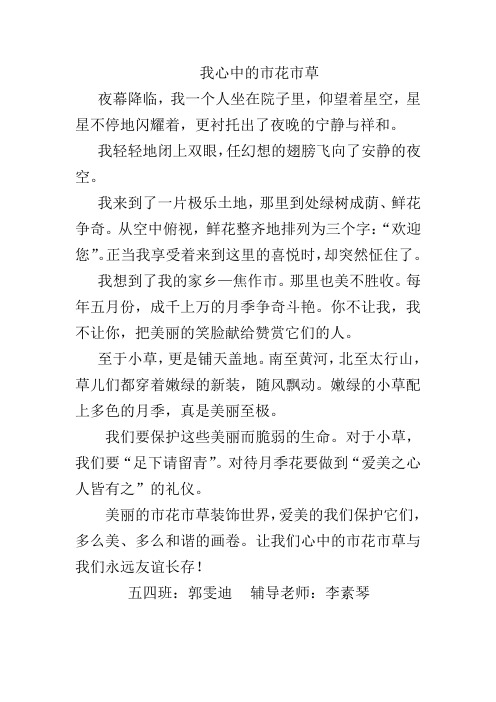 我心中的市花市草