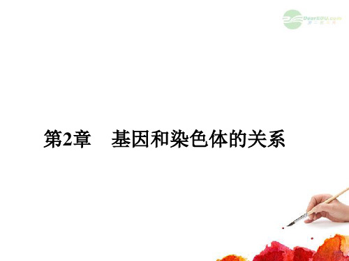 【名师导学】高考生物一轮复习 2.29 减数分裂和受精作用(1)课件 新人教版必修2