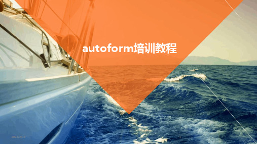 2024年autoform培训教程