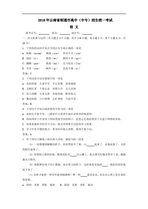 中考语文-2018年云南省昭通市中考语文试题 最新