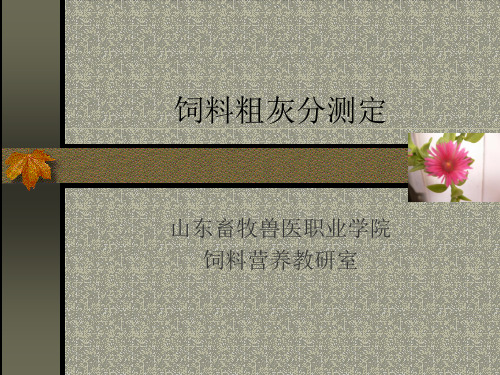 饲料粗灰分测定