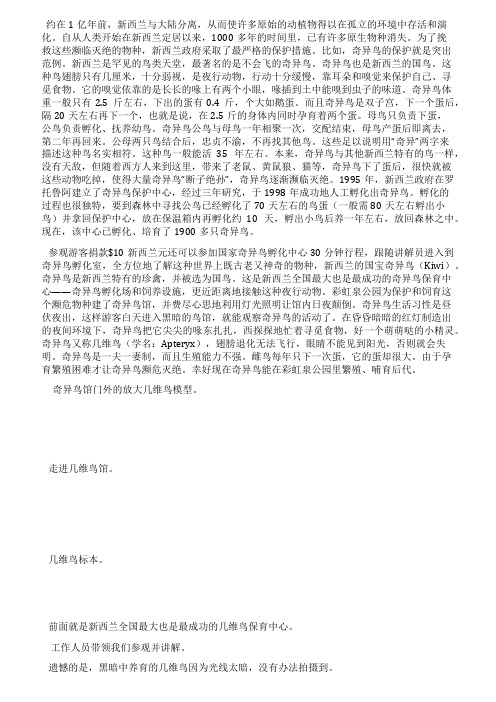 新西兰国宝奇异鸟(Kiwi)彩虹泉公园参观奇异鸟保育中心