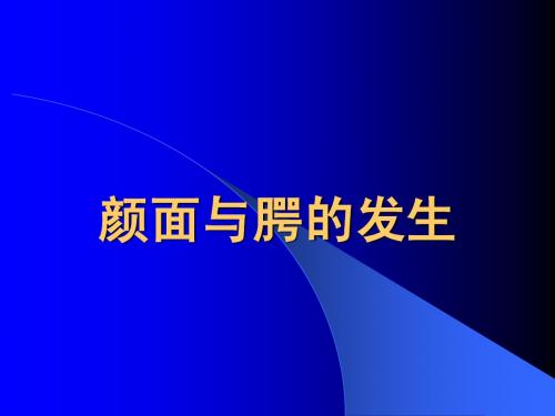 颜面与腭的发生