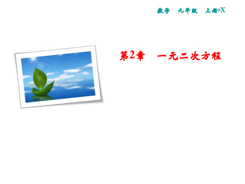 秋湘教版九年级数学上册习题课件：2.3 一元二次方程根的判别式(共11张PPT)