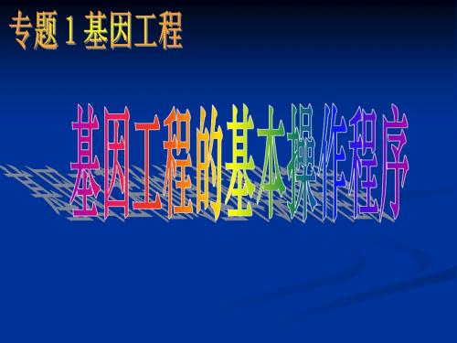 基因工程的基本操作程序[1].ppt