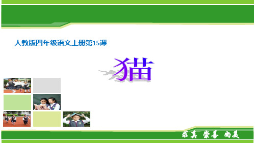 部编版语文四年级下册课件-第四单元-13 猫5