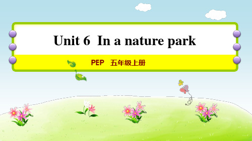 小学英语 五年级上册PEP Unit 6单元加油站(二)