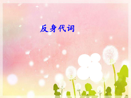 英语反身代词语法课上必讲PPT课件