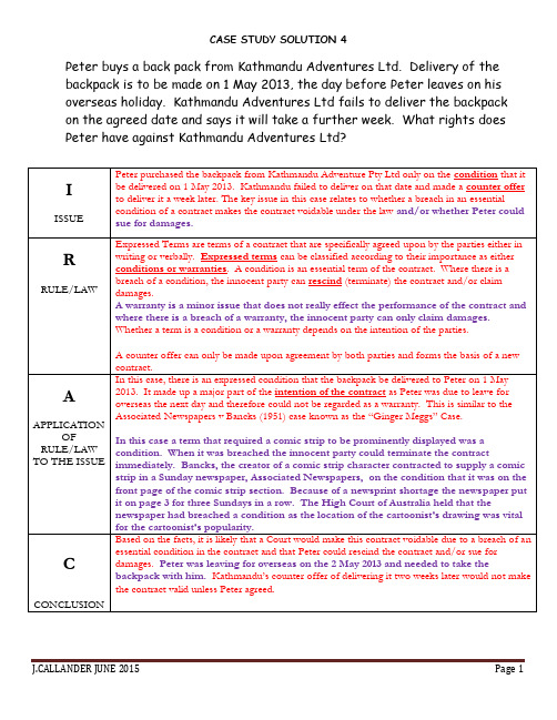 Business CASE STUDY 2商法案例分析