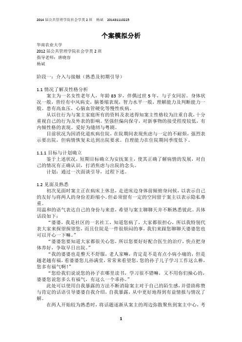 社工个案分析