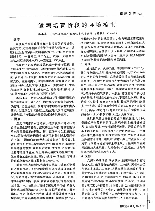 雏鸡培育阶段的环境控制