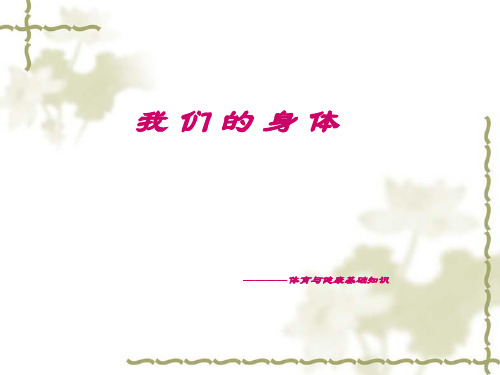 人体骨骼 ppt课件