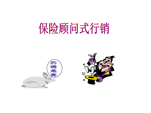 保险顾问式行销.pptx