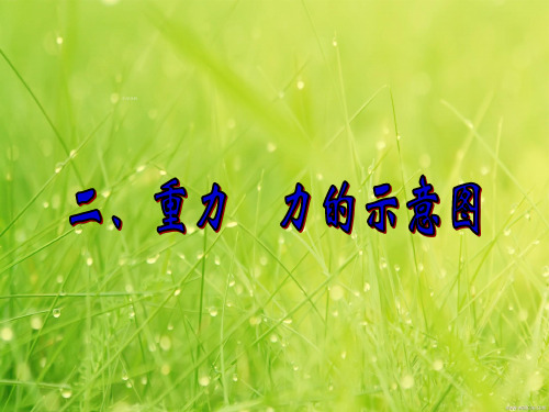 苏科版物理八年级下册8.2《重力 力的示意图》ppt课件(1)