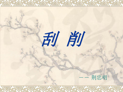 刮削课件
