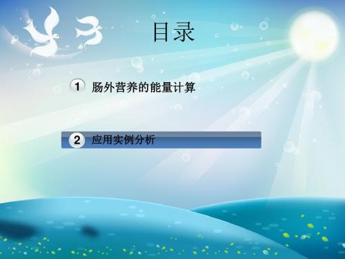 肠外营养计算与审方课件