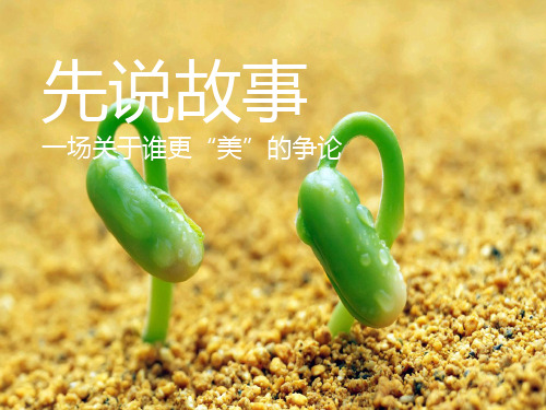 【广告策划-PPT】长沙湘江1号广告策略与创意推广PPT