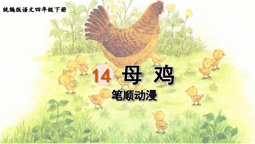 人教版四年级语文下册 生字笔顺课件 14母鸡
