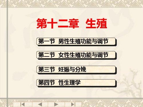 生理学——生殖系统课件