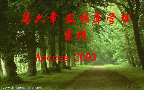 专升本计算机第六章access1