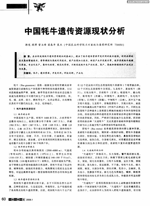 中国牦牛遗传资源现状分析