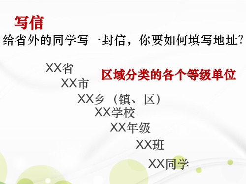 人教版八年级上册生物6.1.2从种到界教学课件 (共45张PPT)