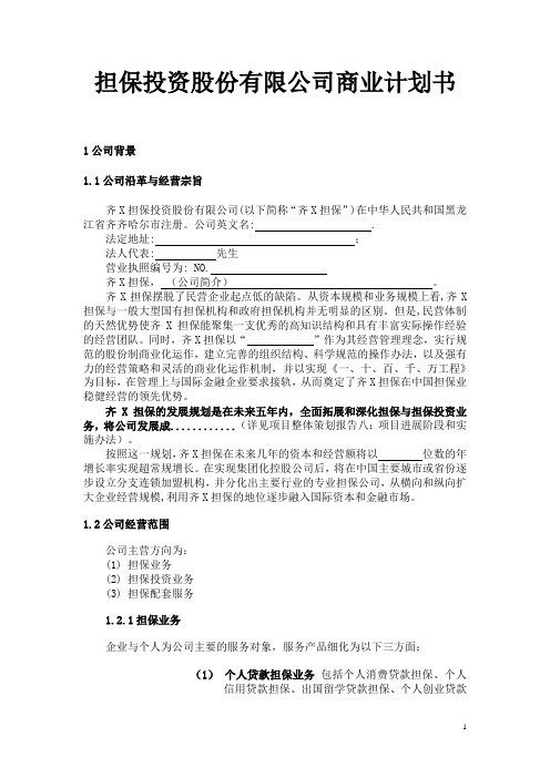 担保投资股份有限公司商业计划书