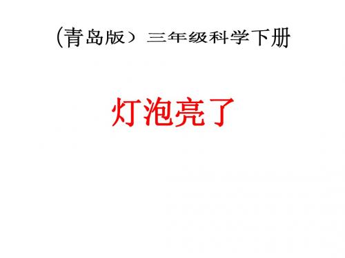 青岛版小学科学三年级下册《灯泡亮了》课件