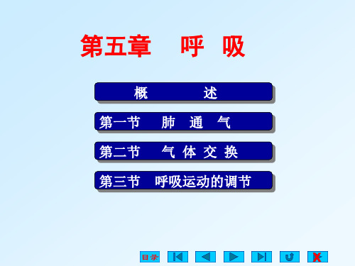 呼吸