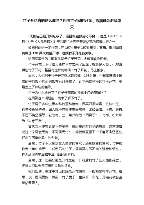 竹子开花真的这么邪吗？四国竹子同时开花，熊猫饿死老鼠成灾