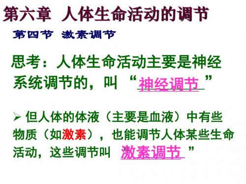 人教版七年级生物下册课件：4.6.4激素调节课件 (共19张PPT)