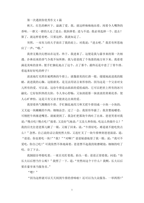 第一次遇到你优秀作文4篇(最新)