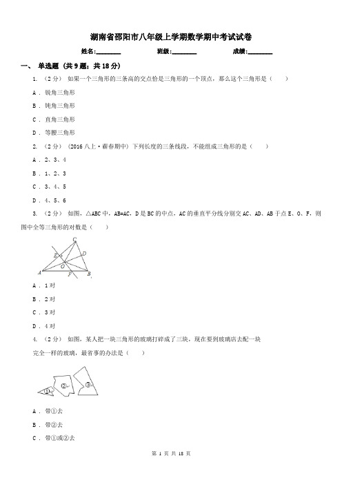 湖南省邵阳市八年级上学期数学期中考试试卷