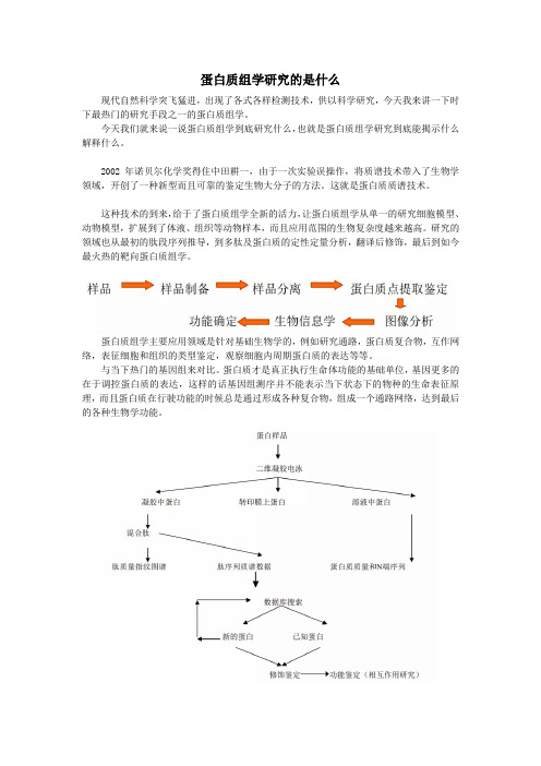 蛋白质组学到底研究什么