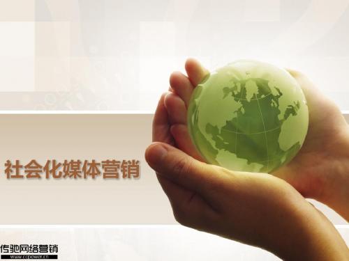 中国式社会化媒体营销2011