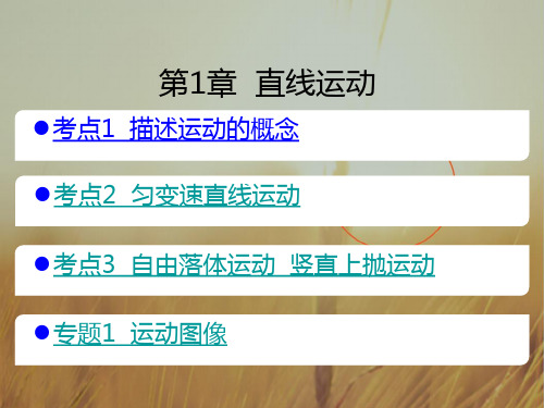 最新-2021版高考物理A版一轮总复习课件：第1章 直线运动共73张 精品
