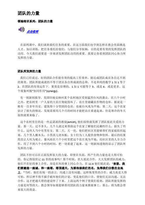 领袖训练中级课程 08 团队的力量
