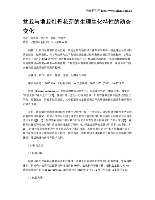 盆栽与地栽牡丹花芽的生理生化特性的动态变化