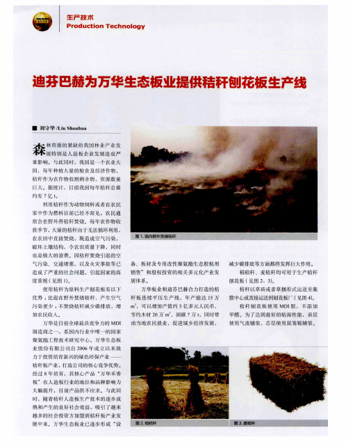 迪芬巴赫为万华生态板业提供秸秆刨花板生产线
