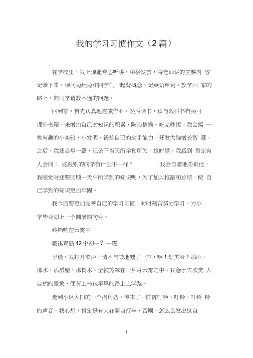 我的学习习惯作文(2篇)