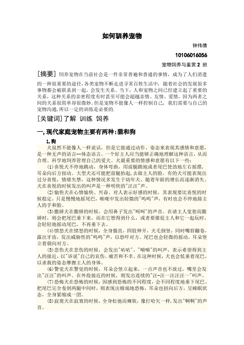 宠物饲养与鉴赏