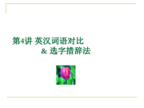 翻译理论与实践第3讲
