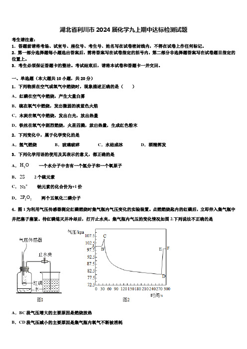 湖北省利川市2024届化学九上期中达标检测试题含解析