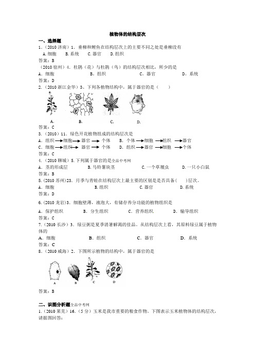 植物体的结构层次练习题
