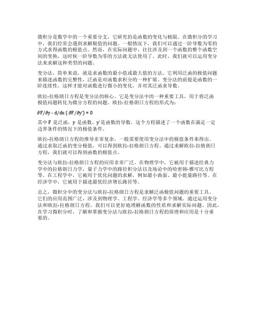 微积分中的变分法与欧拉-拉格朗日方程