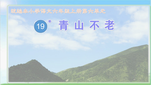 六年级上册语文课件 - 青山不老  人教部编版(共13张PPT)